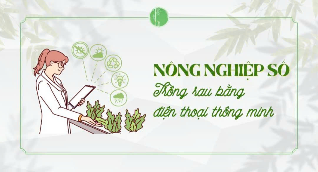 Trồng rau công nghệ